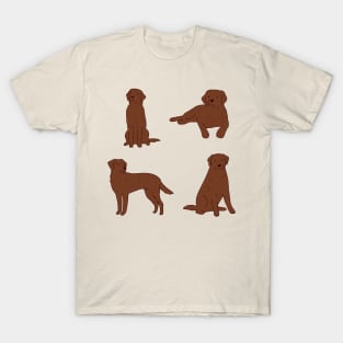 Brown Labrador drawing pack T-Shirt